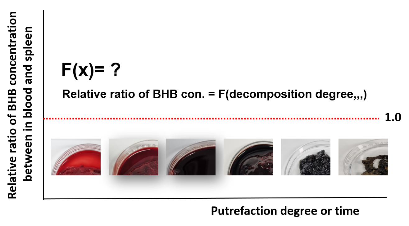 AST-2023-014_R2_P_Graphical Abstract_001.png